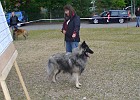 Picasa  O.K. noch einmal stillhalten, dann will ich aber spielen !! Atreju juni 2012