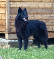 Fabienne of Royal Belgians